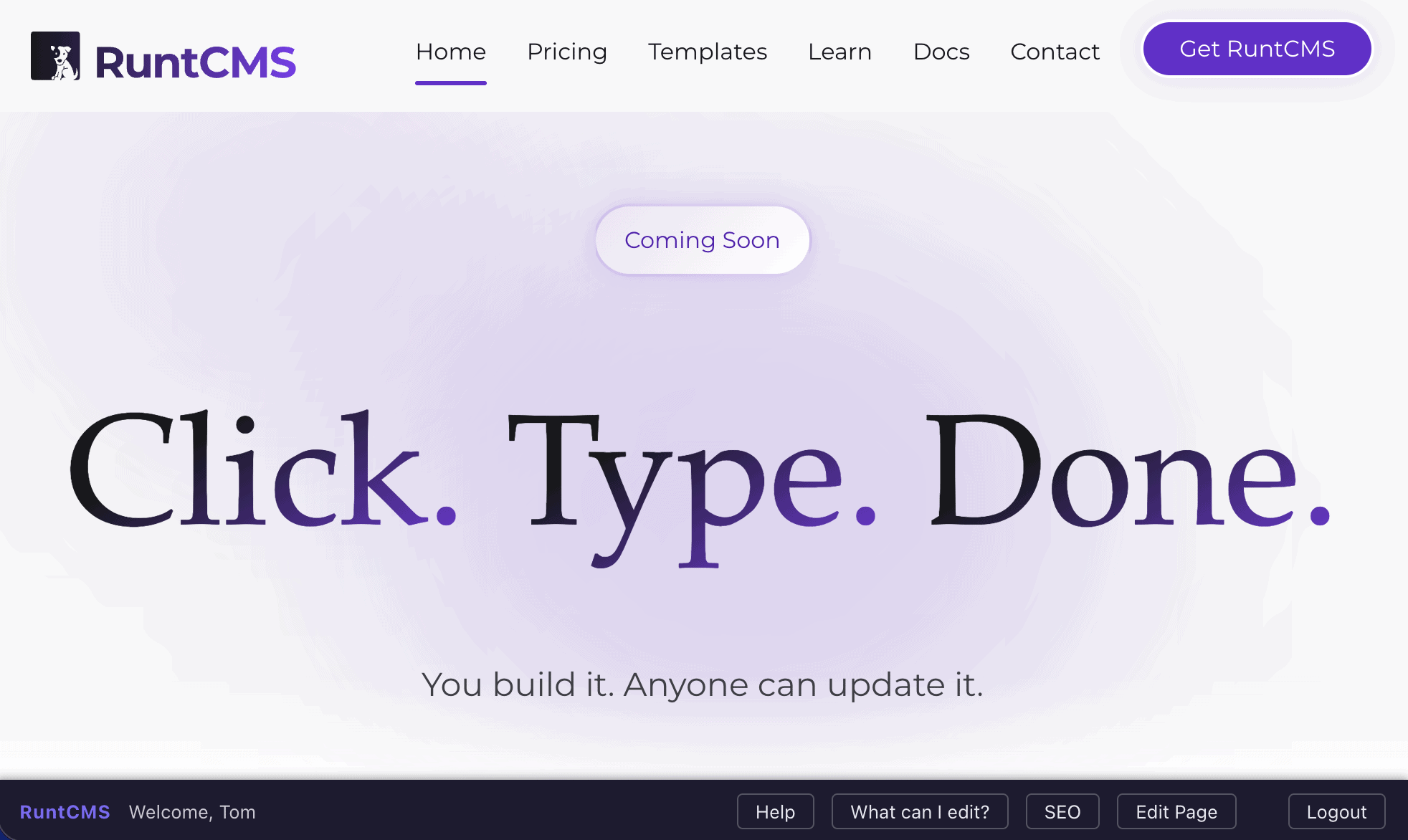 The runtbar at the bottom of the page — Save, History, What can I edit?, Log Out buttons